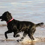 Sea Forever Oceanfront Perfectly Apartament Saltburn-by-the-Sea