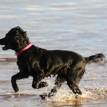 Sea Forever Oceanfront Perfectly شقة سولتبرن باي ذا سي